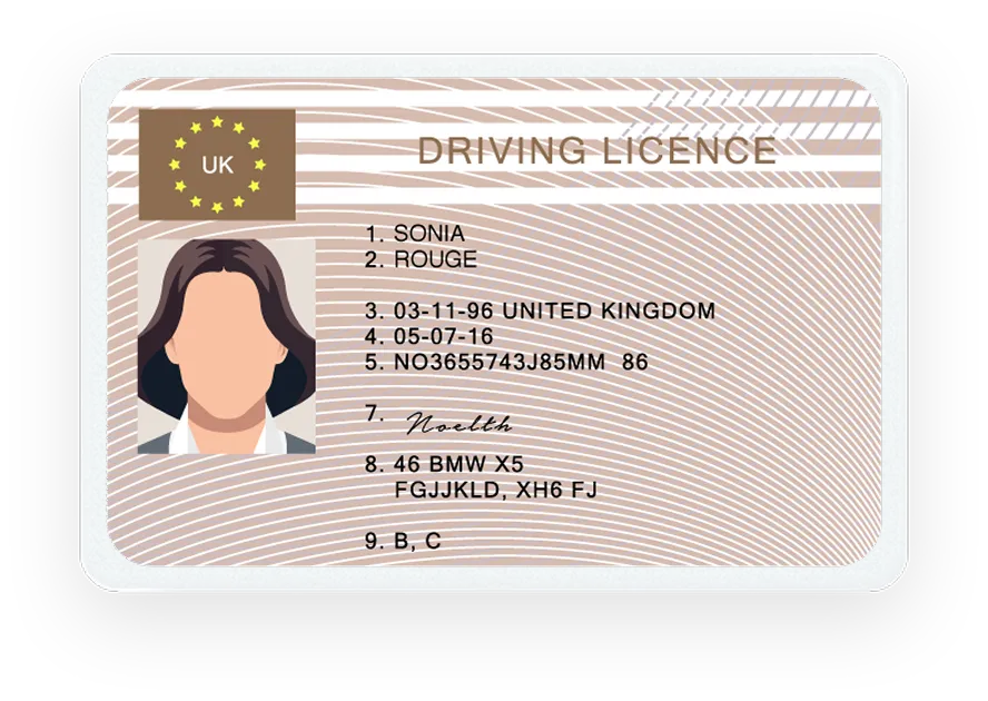 Driver's license document